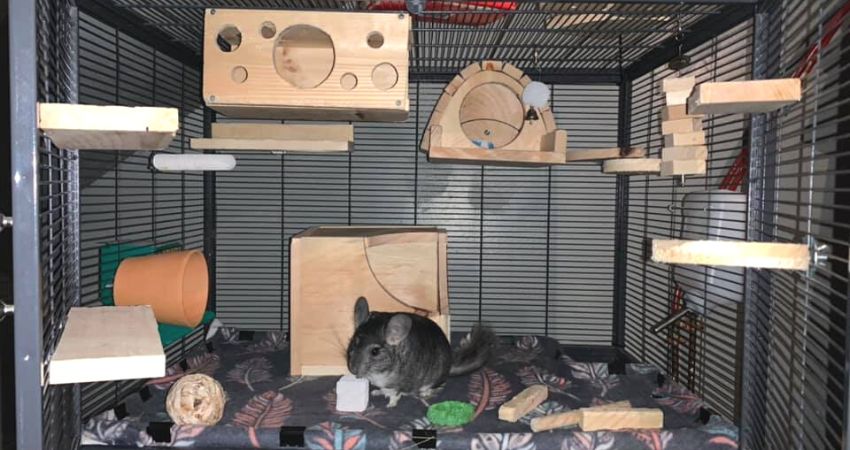 How To Choose A Cage For Your Chinchilla