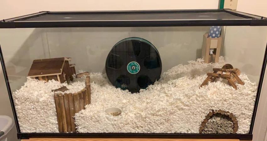 What is the Ideal floor space of the Hamster Tank