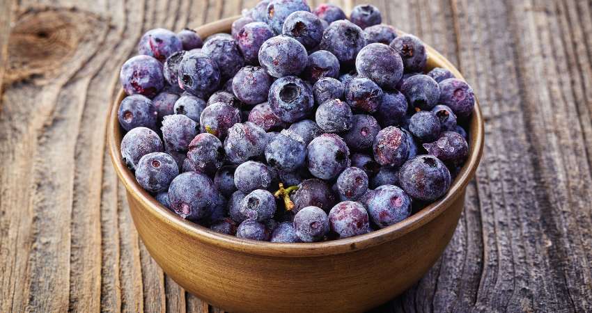Can Chinchillas Eat Frozen Blueberries