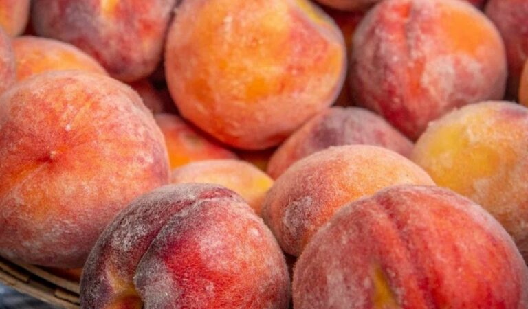 Can Chinchillas Eat Peaches? (Nutritional Advantages)