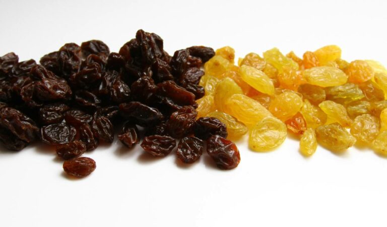 Can Chinchillas Eat Raisins? (In A Moderate Quantity)