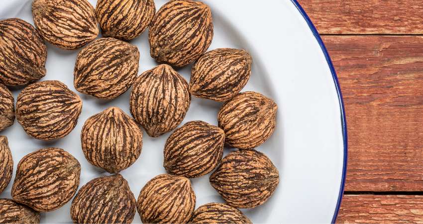 Black Walnuts