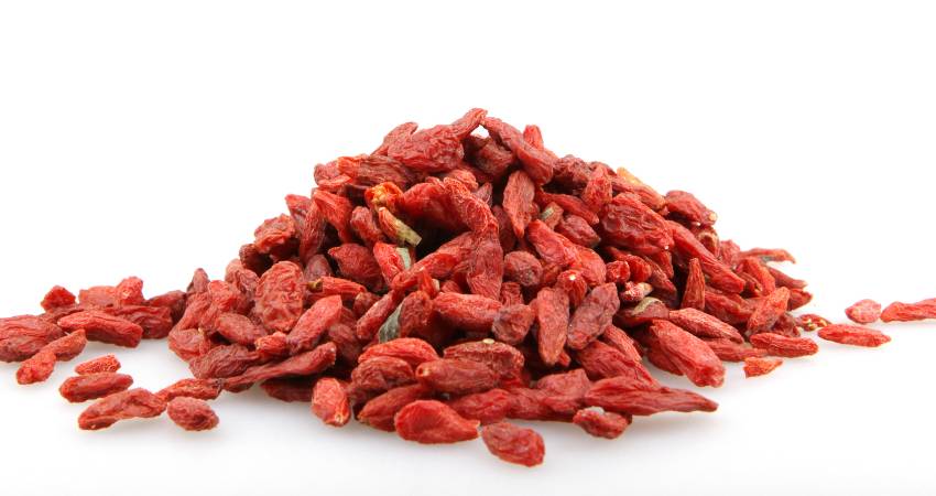 Can Chinchillas Eat Dried Goji Berries
