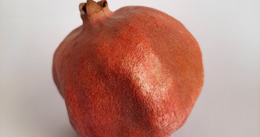 Can Chinchillas Eat Dried Pomegranates