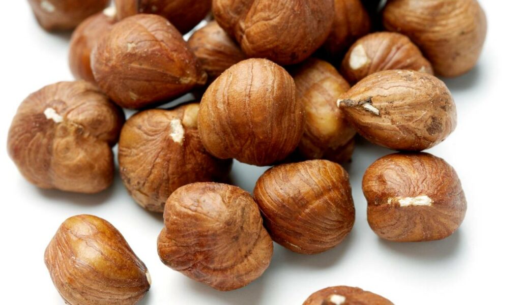 Can Chinchillas Eat Hazelnuts? Is It Safe Or Useful Nutrients?