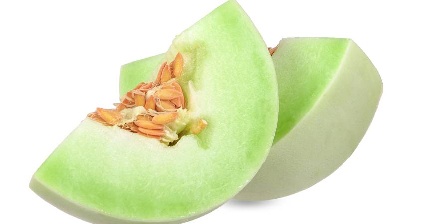 Can Chinchillas Eat Honeydew Melon