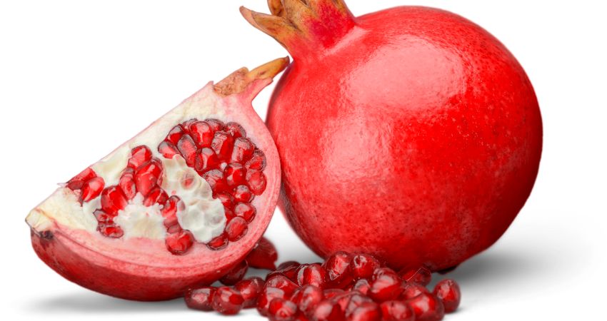 Can Chinchillas Have Pomegranates