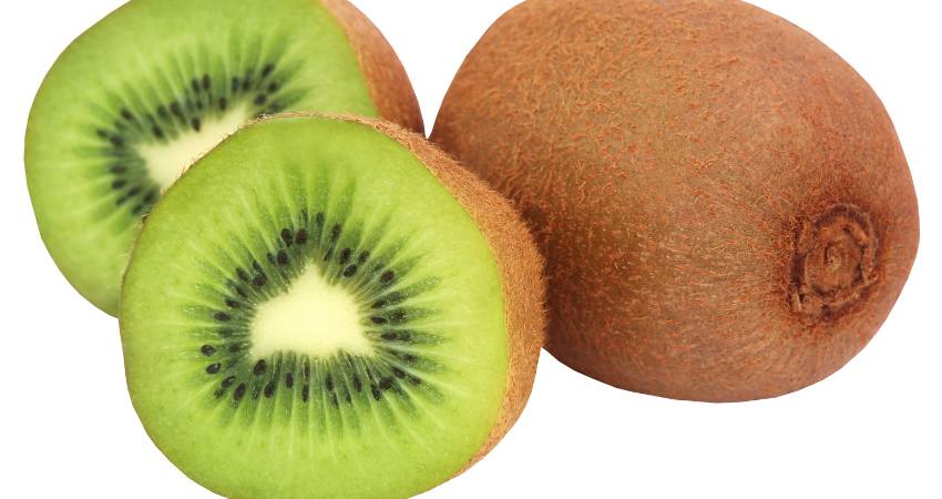 Health Benefits Of Eating Kiwi For Chinchillas