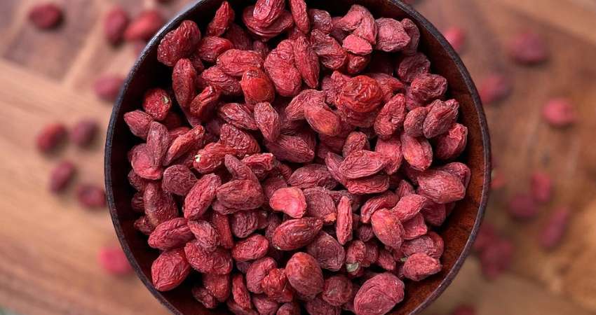 Health Benefits of Goji Berries to Chinchillas