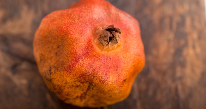 How Often Can Chinchillas Eat Pomegranates