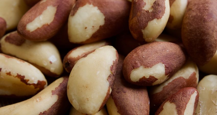 How to Prepare Brazil Nuts for Chinchillas