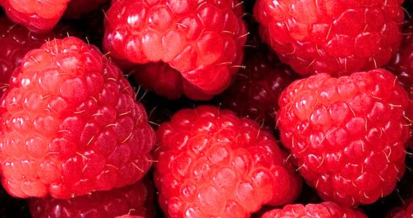 Nutritional Value of Raspberries